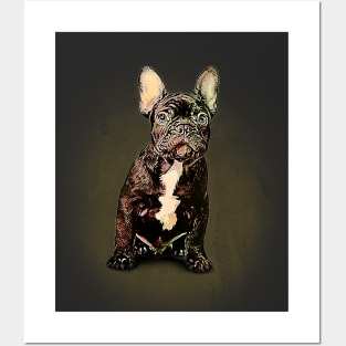 Adorable Frenchie Puppy Posters and Art